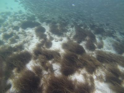 GOPR0242.jpg