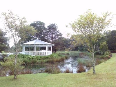 CAM00264.jpg