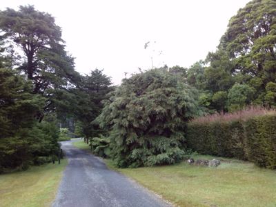 CAM00272.jpg