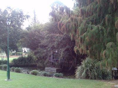CAM00638.jpg