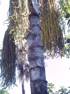 CAM00674.jpg