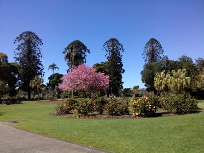 CAM00676.jpg