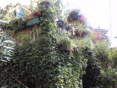 17_CAM00760.jpg