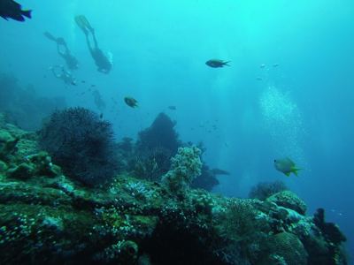 GOPR0367.jpg