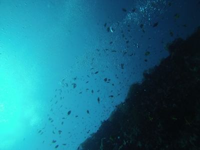 GOPR0393.jpg