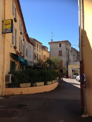 IMG_1550.jpg