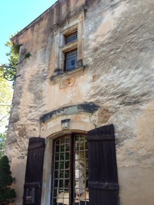 IMG_1554.jpg