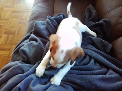 CAM02480.jpg
